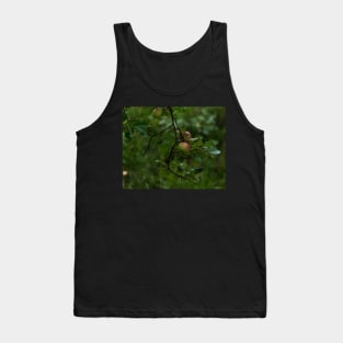 Apple a day. Tank Top